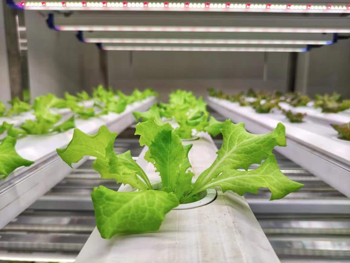 Agrikol & Flextech