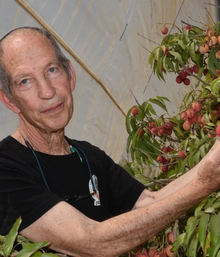 A new study led by MIGAL and Northern R&D found that combining shade nets with misting systems increased lychee yields by up to 50%.