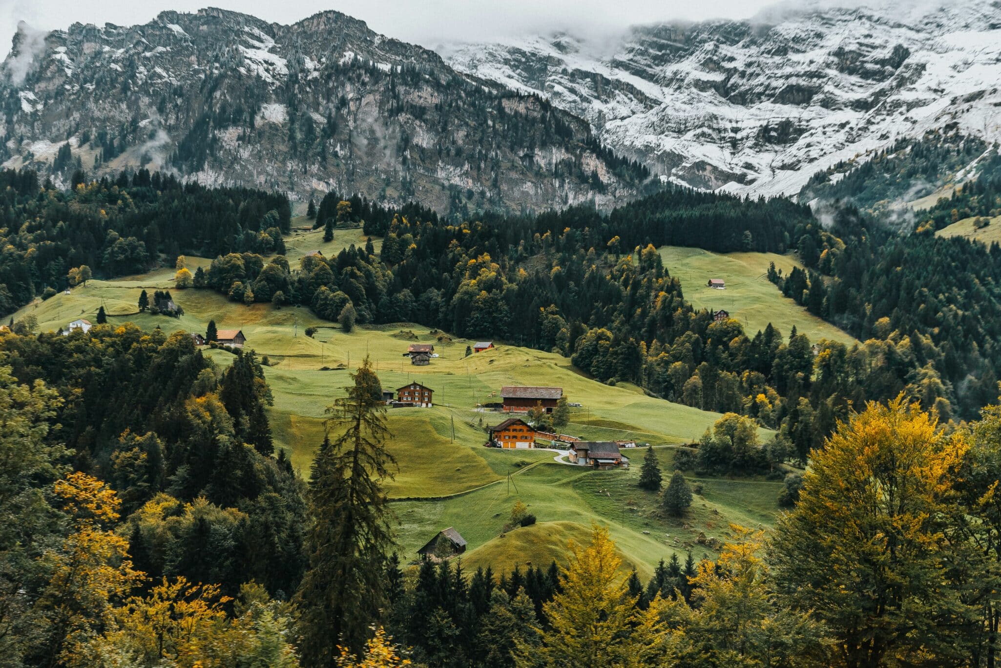 Western Switzerland is a thriving agri-food cluster that is continually creating new food tech and agritech tools