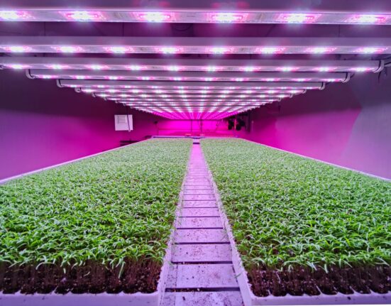 Vertical Farming Company Future Crops Files For Bankruptcy