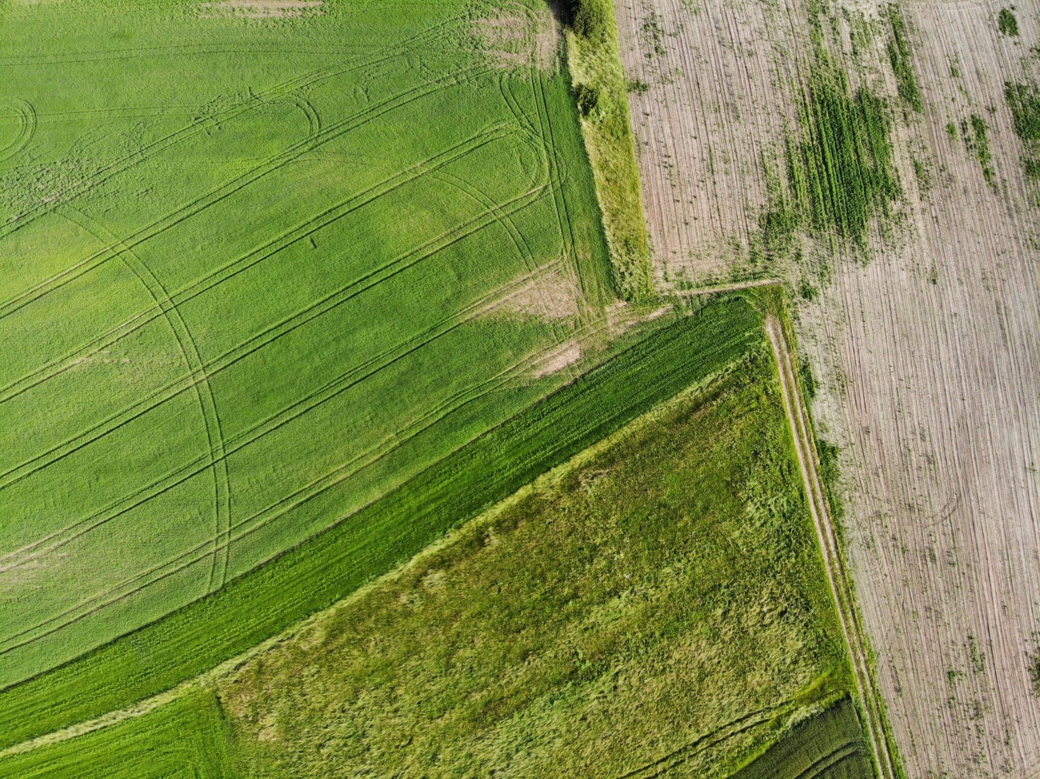 French AgTech Startup, Hyperplan Nets a 4.1M Euro Seed Funding