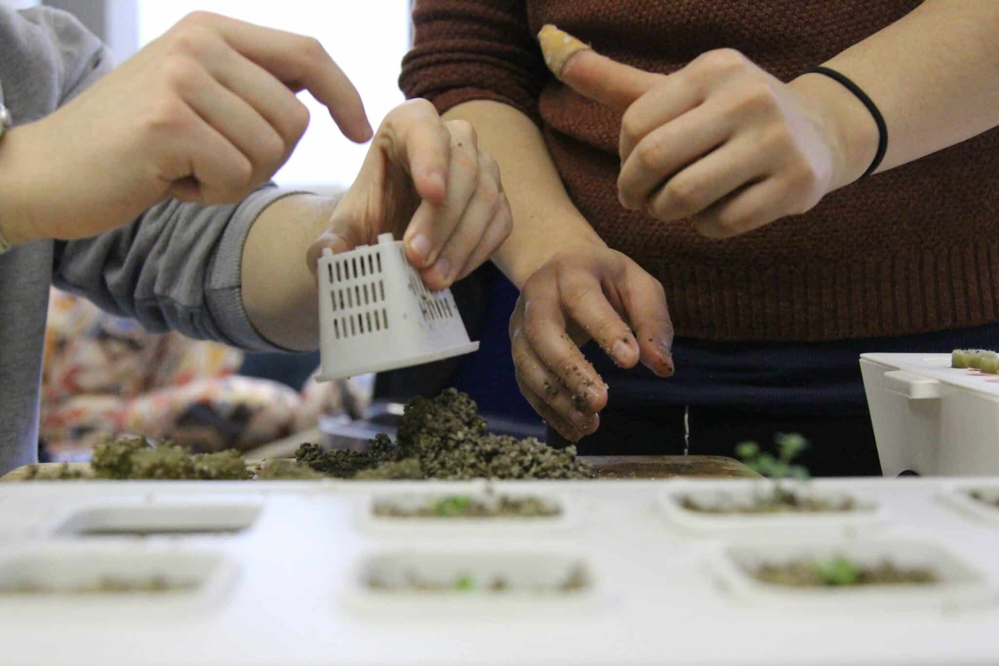 Hydroponics is a method of growing plants without the use of soil, making it versatile enough to grow at home or in commercial facilities.