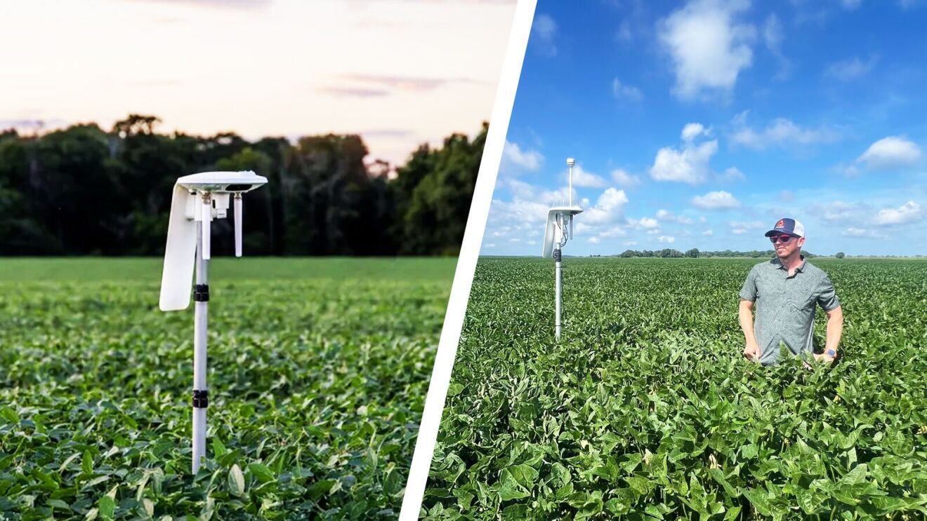 Amazon and Arable launch Mississippi water project with AI sensors to cut farm withdrawals by 150M gallons annually, boosting sustainability.