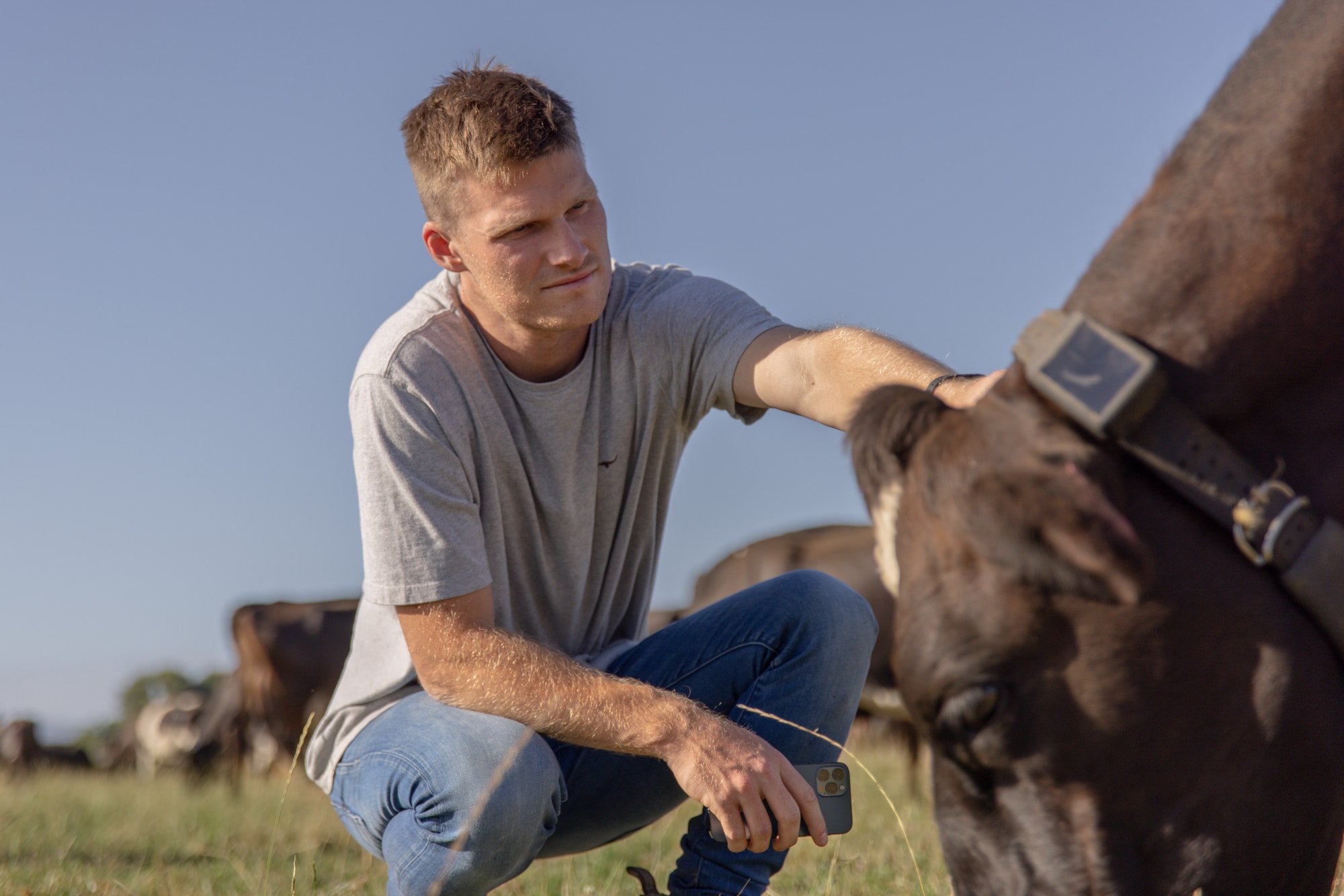 Halter, a technology company specializing in virtual fencing and cattle management, has raised $100 million in a Series D funding round, resulting in a company valuation of $1 billion.