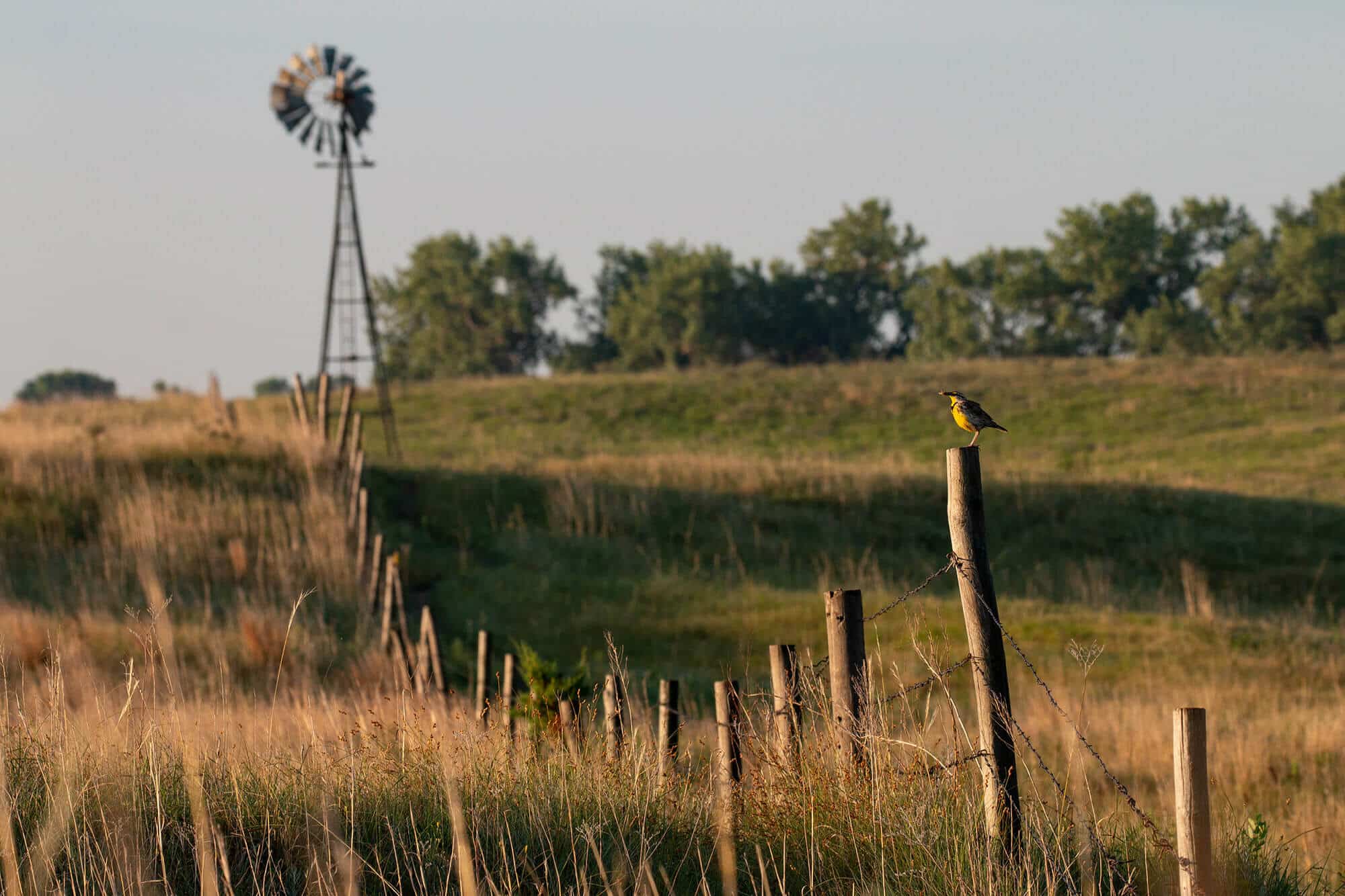 Regenerative ranching