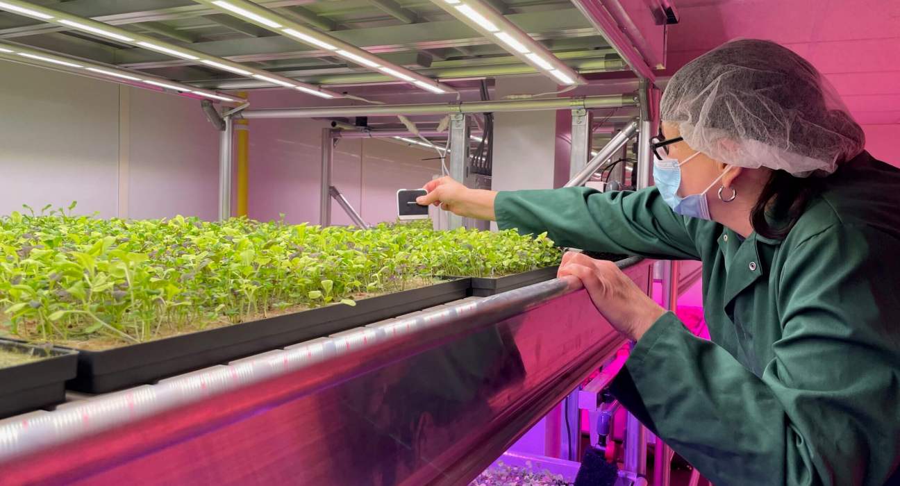 How AI and CEA Can Feed The World