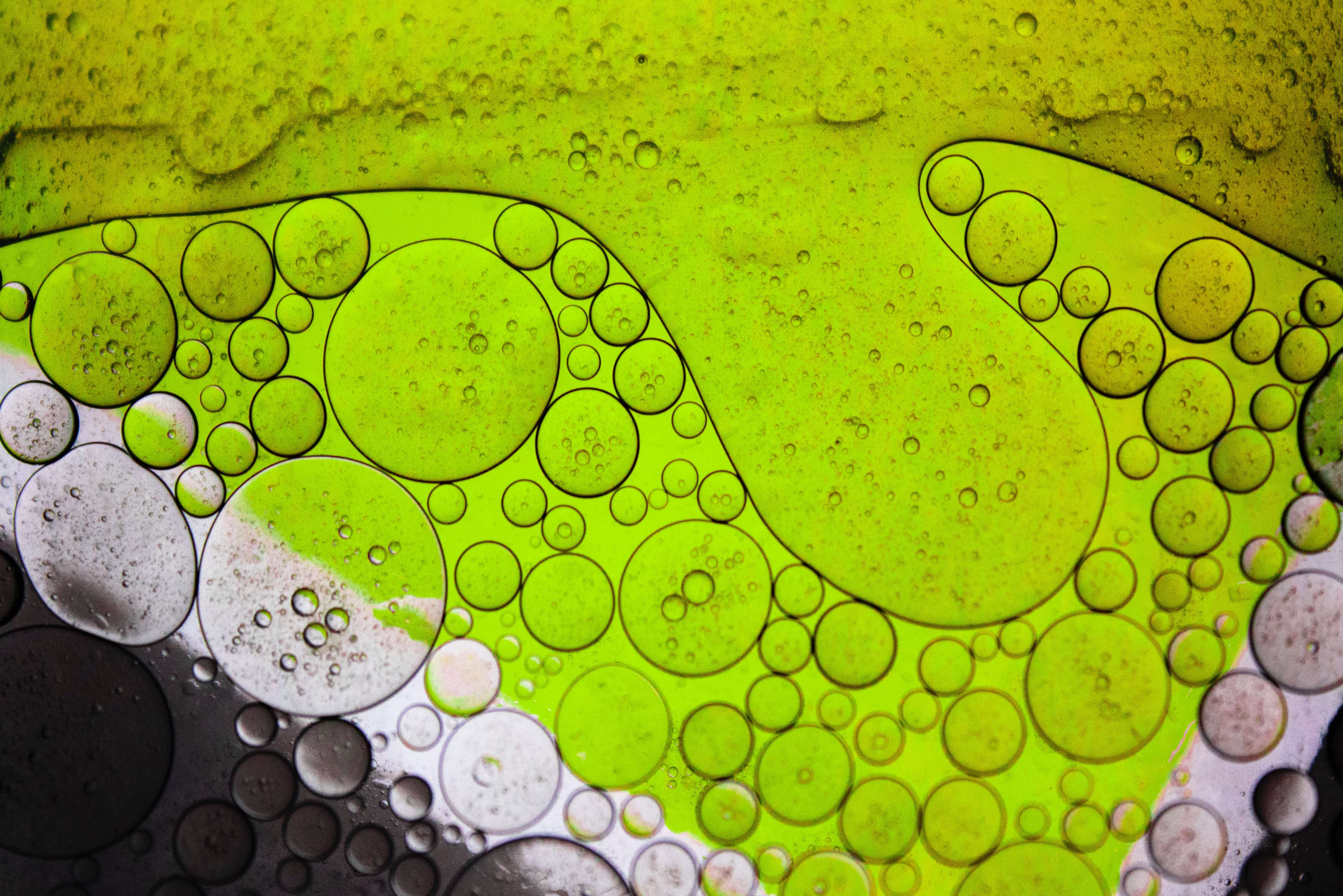 Algae Biofuel