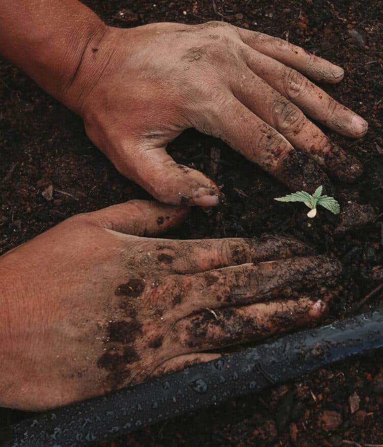 Tavant has introduced AI Agent accelerators designed to improve farm productivity, supply chain efficiency, sales, and agri-lending.
