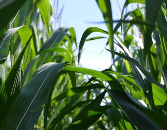 KPM Analytics agtech company