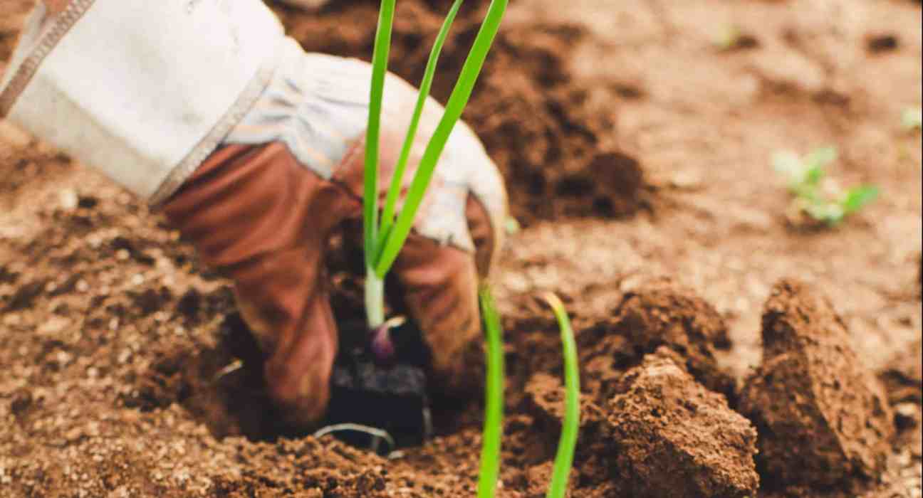 Turningpoint Alliance decarbonize food