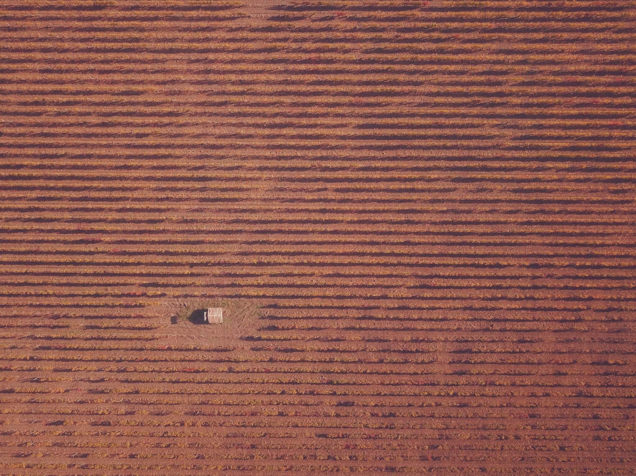 Aerial imagery in agtech