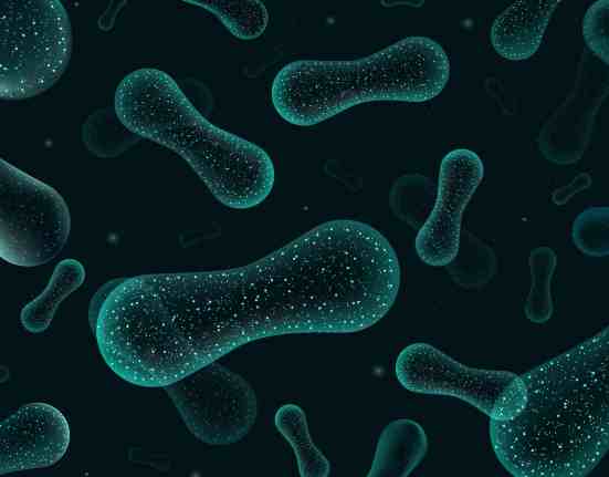 Jennifer Doudna and Jill Banfield at the Innovative Genomics Institute have launched a project called "Engineering the Microbiome with CRISPR to Improve our Climate and Health"