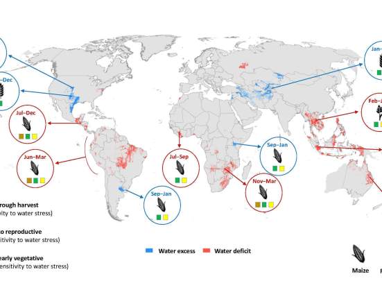 After a prolonged three-year presence, La Niña has left the global atmospheric scene, making way for a likely imminent transition to El Niño, a meteorological event that typically oppositely distributes weather patterns.