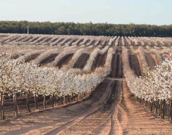 Private equity investor Folium Capital has announced the launch of its Regenerative Natural Resources Fund, Folium Fund III LP.