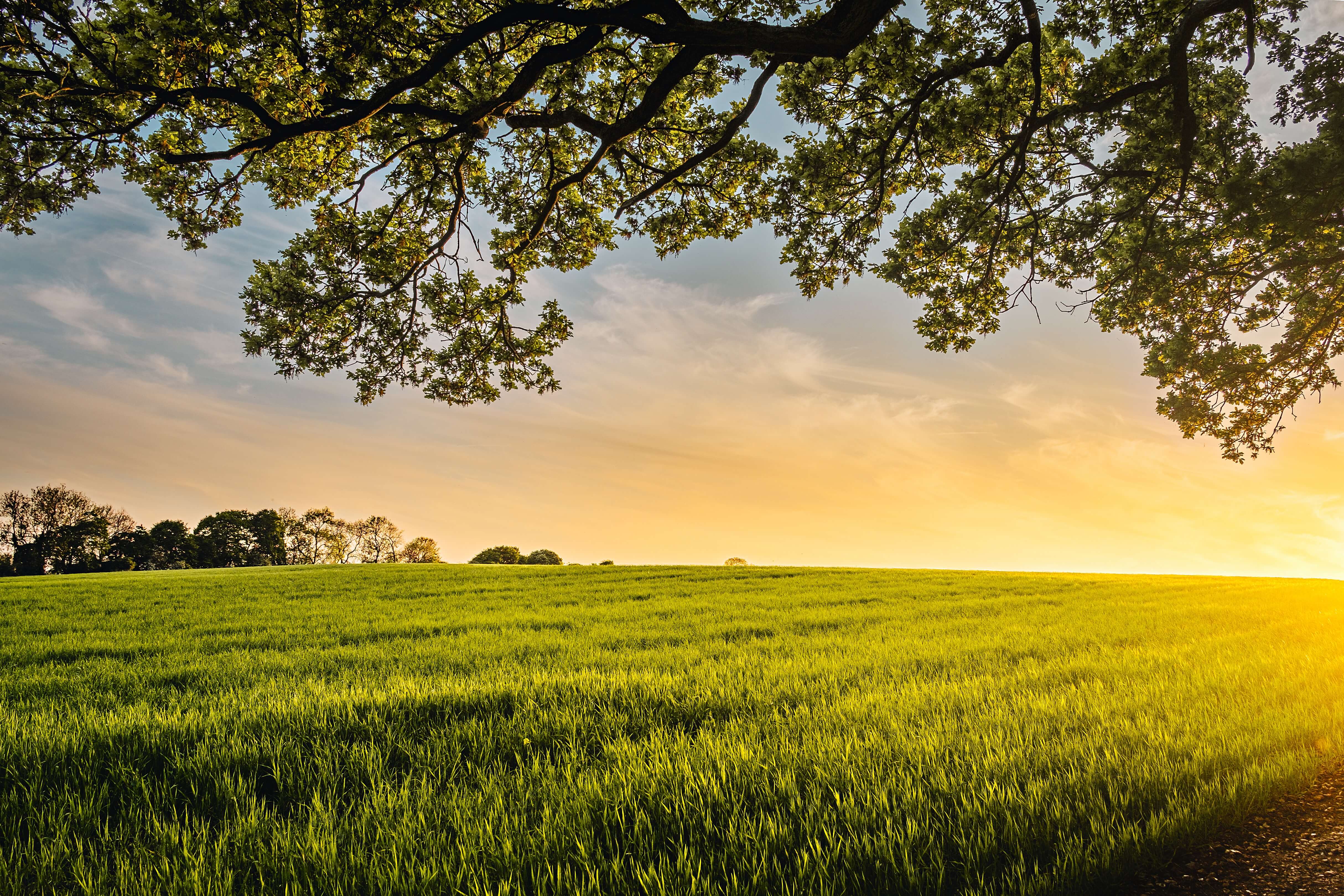 UK BBSRC Pledges £60 Million to Fund New Rothamsted Research Initiatives