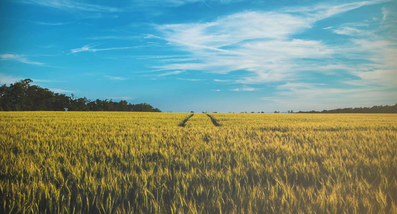 Fulcrum Integrates Esri's ArcGIS Maps to Enhance Field Inspection Management