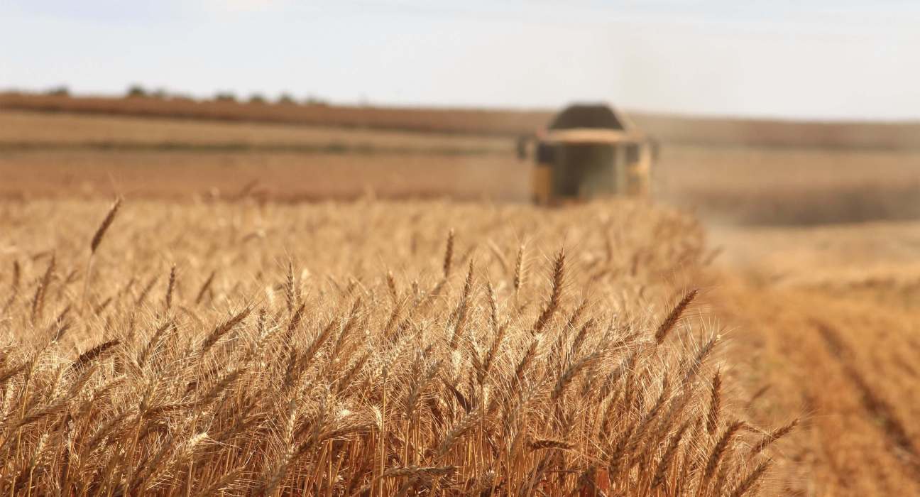 Budapest-based Agtech Startup Proofminder Secures €400K