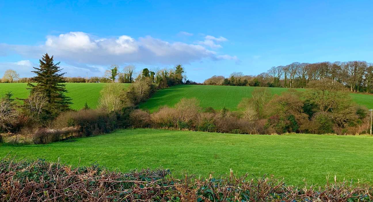 Ireland and New Zealand Launch Joint Research Call on Agriculture and Climate Change