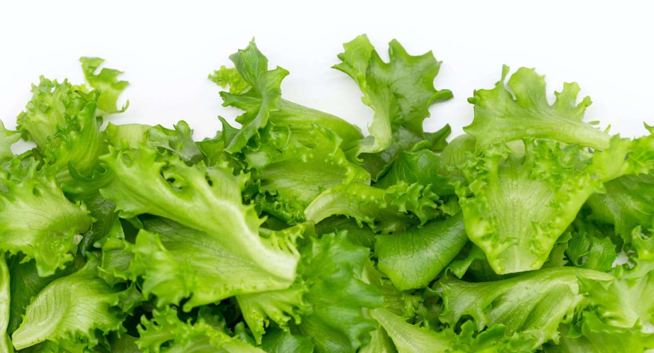Agriplay Ventures Partners with Texas Vertical Farms