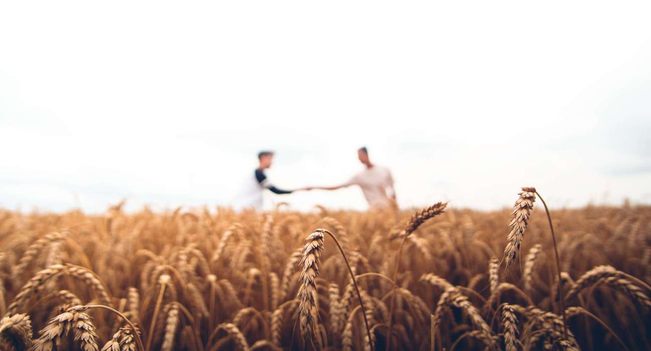 Croft Technology Seeks To Change Agribusiness Labor Management