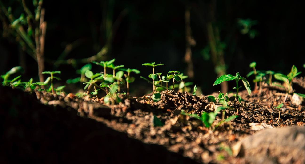 Direct Enterprises Unveils New Soil Health Solution, Reclaim™
