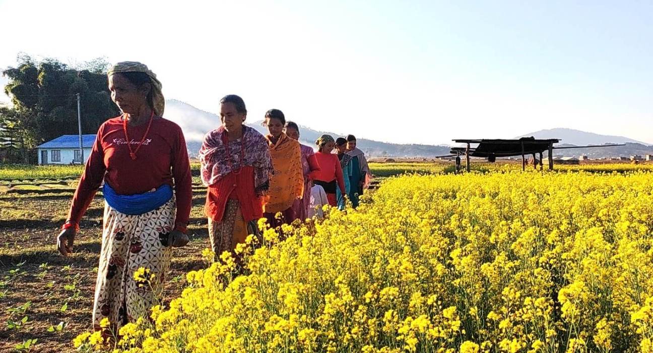 Participatory Guarantee Systems: A Gateway to Sustainable Agriculture and Local Markets
