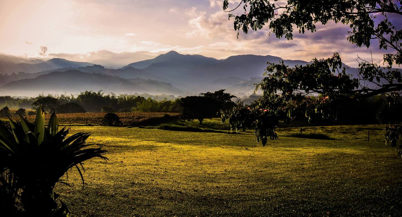 Latin American Agrifoodtech Investment Soars, Report Reveals