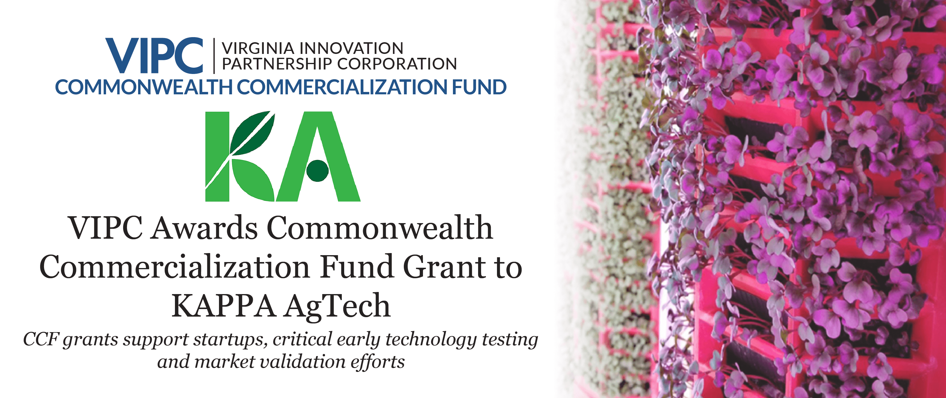 Virginia Innovation Partnership Corporation Awards $75K CCF Grant to KAPPA AgTech