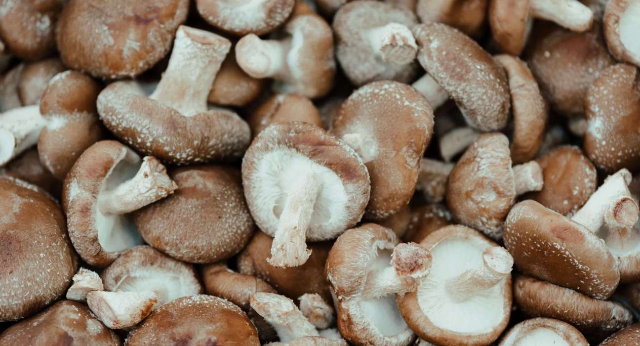 Farmmi Secures High Volume Export Order for Dried Mushrooms to Romania