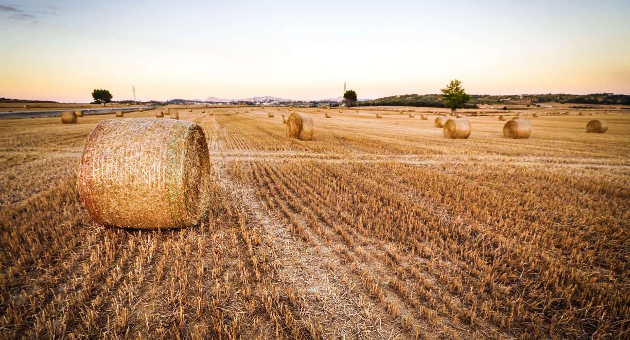 Biden-Harris Administration Launches New Initiatives with Agricultural Producers