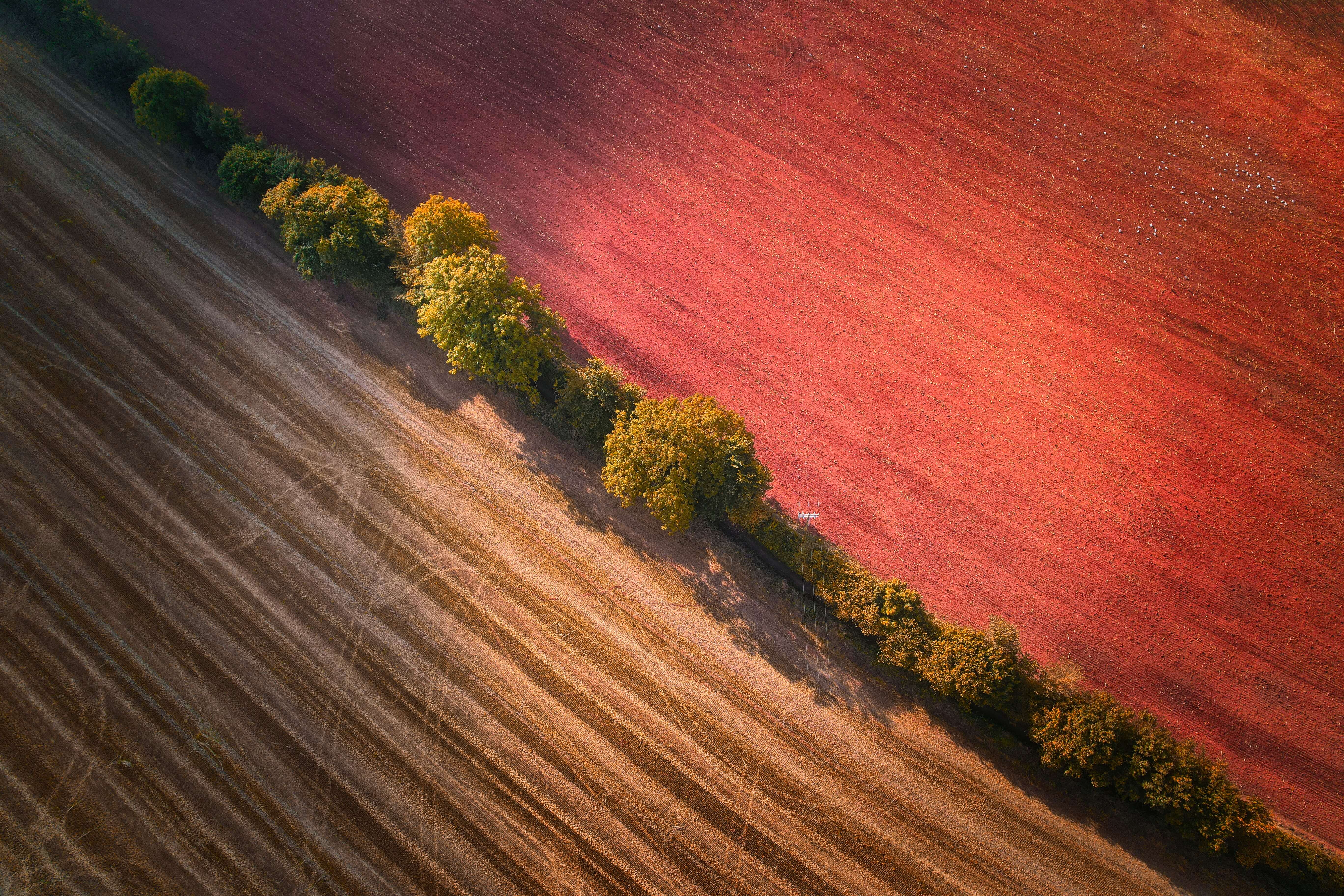 NatWest Group & WWF Join Forces to Revolutionize UK's Food and Agri Sector