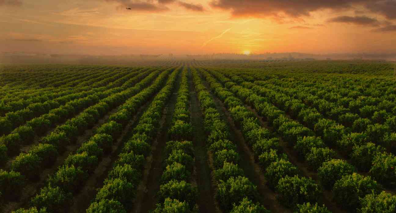 AMFRESH and EQT Anticipate Completion of IFG Acquisition by SNFL Following EU Commission Approval