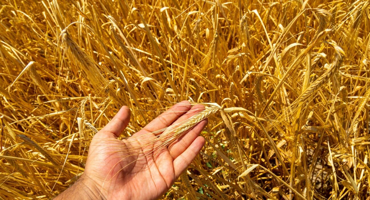 FarmWorks secures investment from Marula Square to scale tech-driven, climate-smart farming and empower smallholders in Kenya.