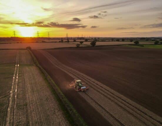 Barclays latest report urges UK policymakers to establish a 25-year agriculture roadmap with Agritech at its core.
