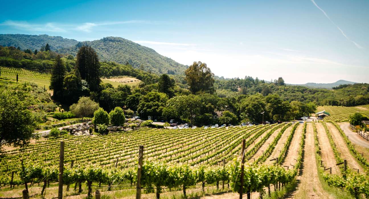 Sonoma County Winegrowers Unite Innovative Companies for Inaugural Farm of the Future Summit