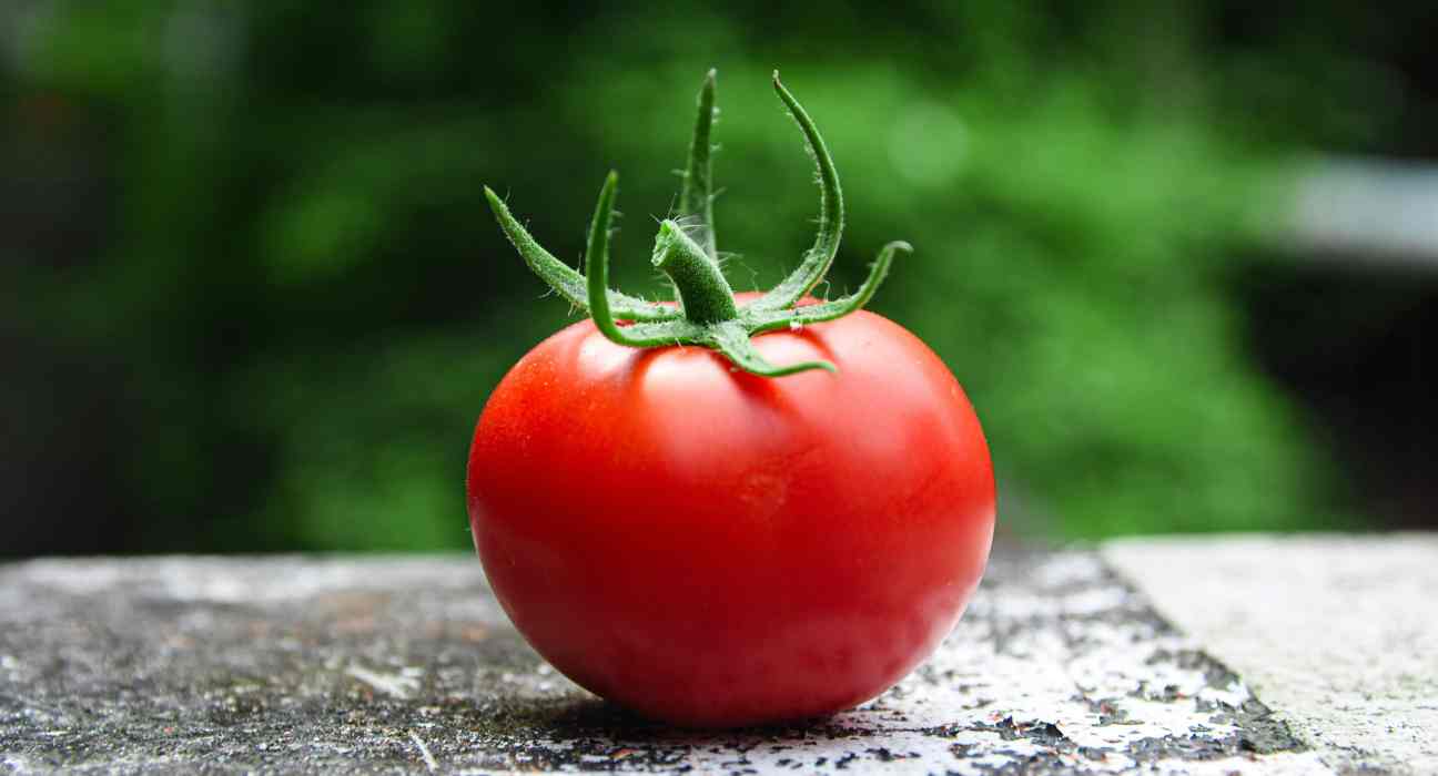 Modus and Alberta Food Security Introduce Viintus