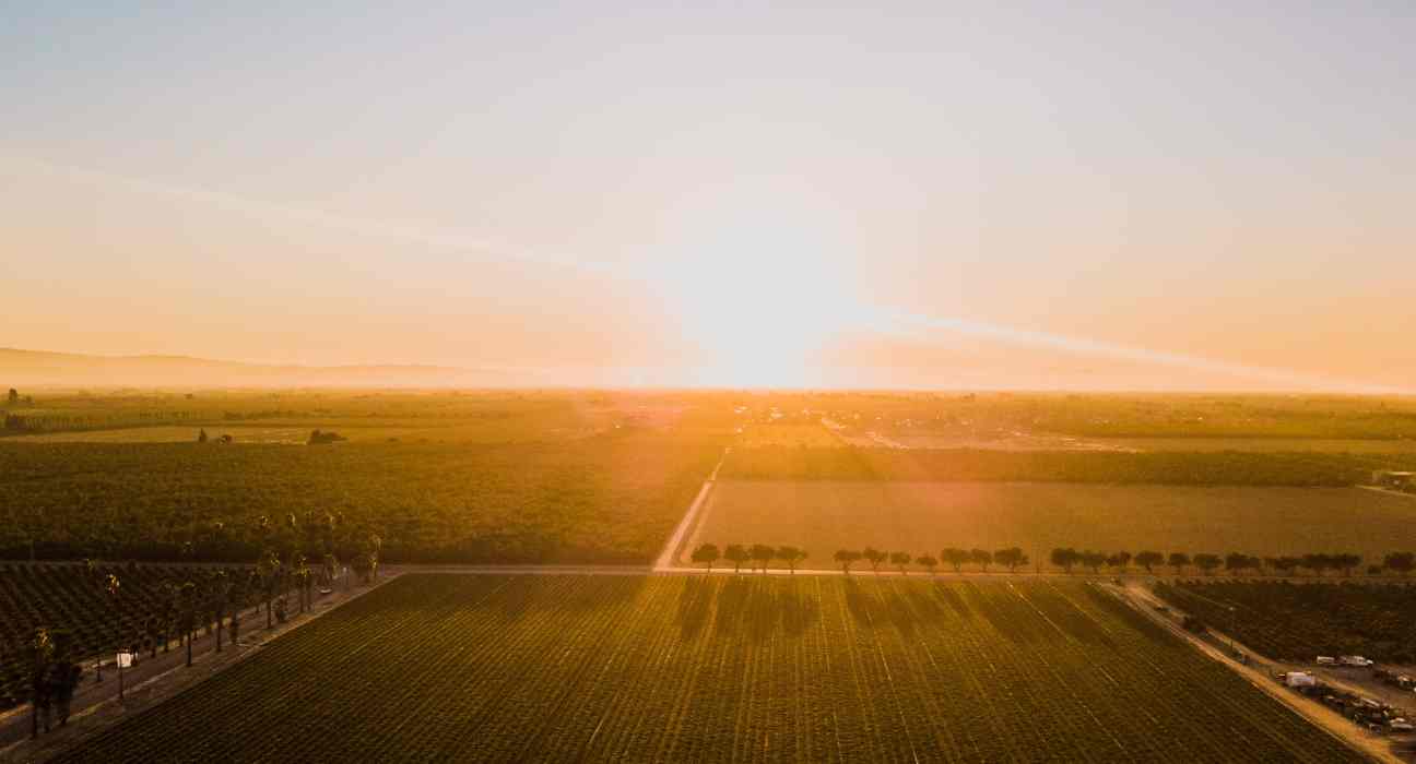 US farmland values surge to record highs despite challenges, driven by 6% annual appreciation, population growth, and food demand.