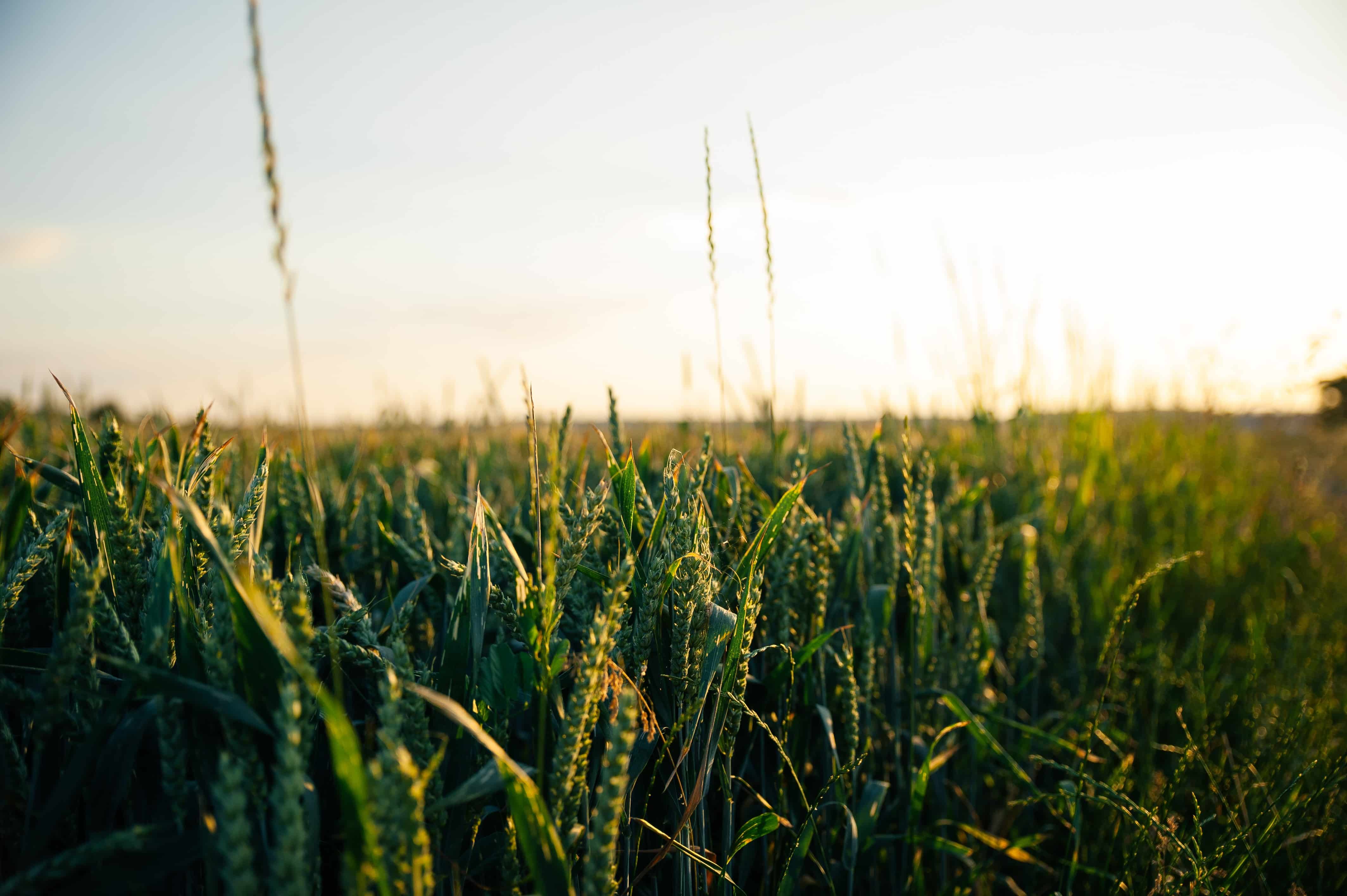 Nordson Corporation Acquires ARAG Group