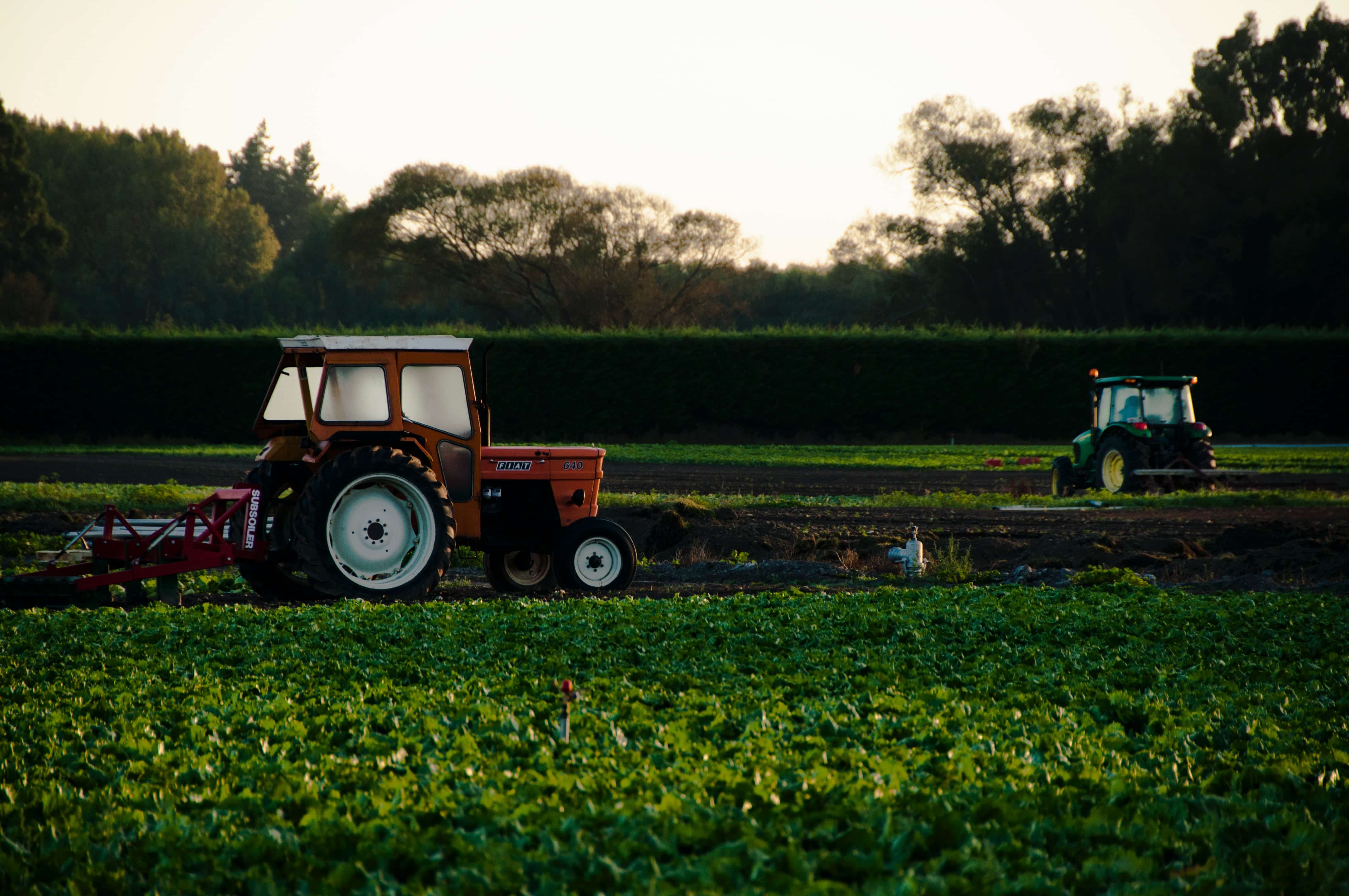 Future Foods Launches Revolutionary Platform to Transform Agriculture and Sustainability