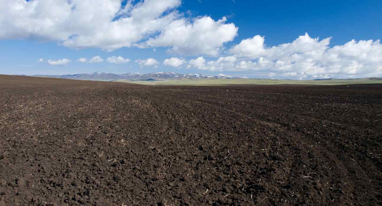 New Soil Study Introduces "SoilPP" to Assess Brazil's Agricultural Potential. Livestock; AgriTech; Agricultural Technology