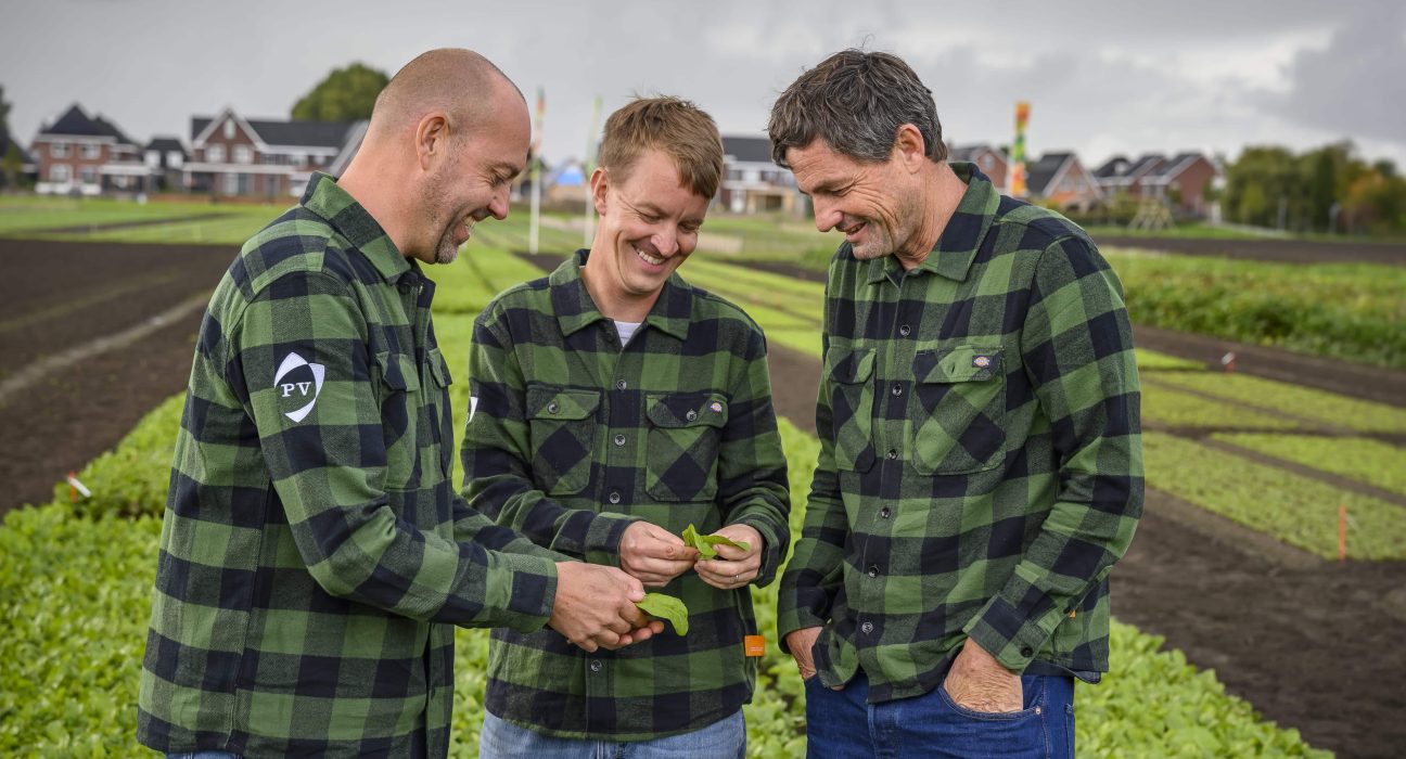 PopFest 2023, from September 25th to 29th , showcases Pop Vriend's innovative, sustainable crop varieties and agricultural solutions.