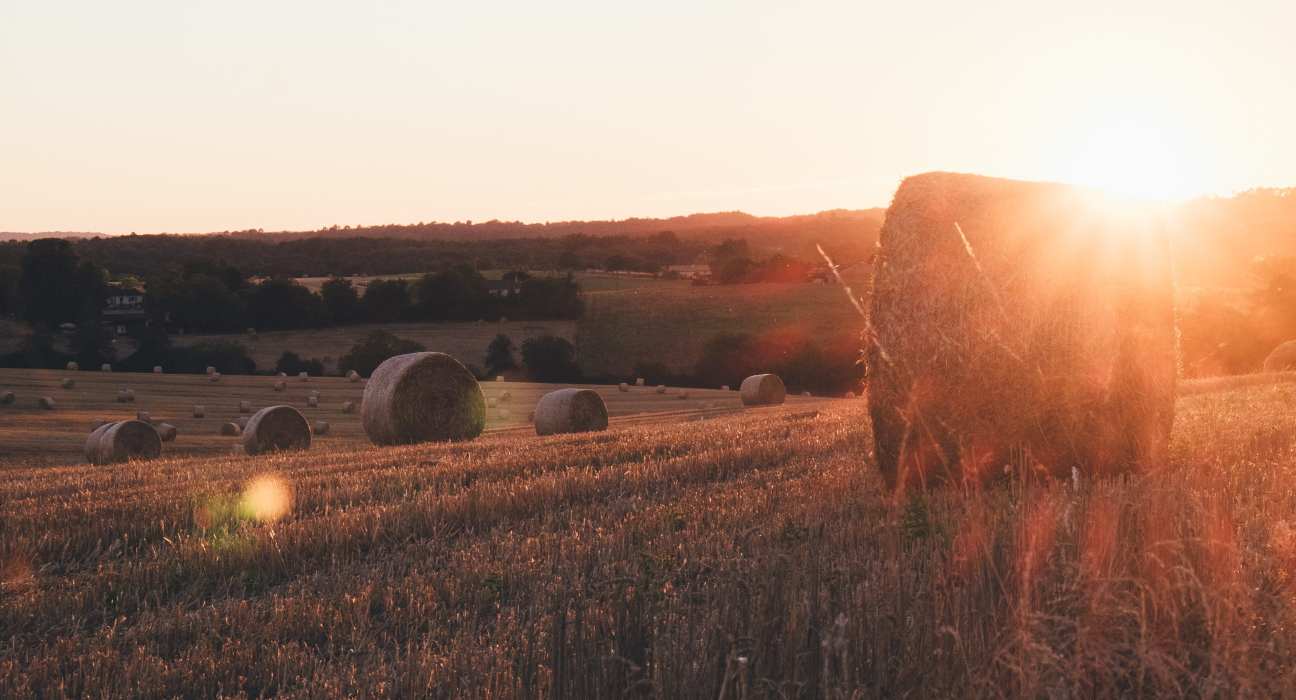 Intact Regenerative has secured funding to advance its mission of producing sustainable, low-carbon ingredients from regenerative agriculture.
