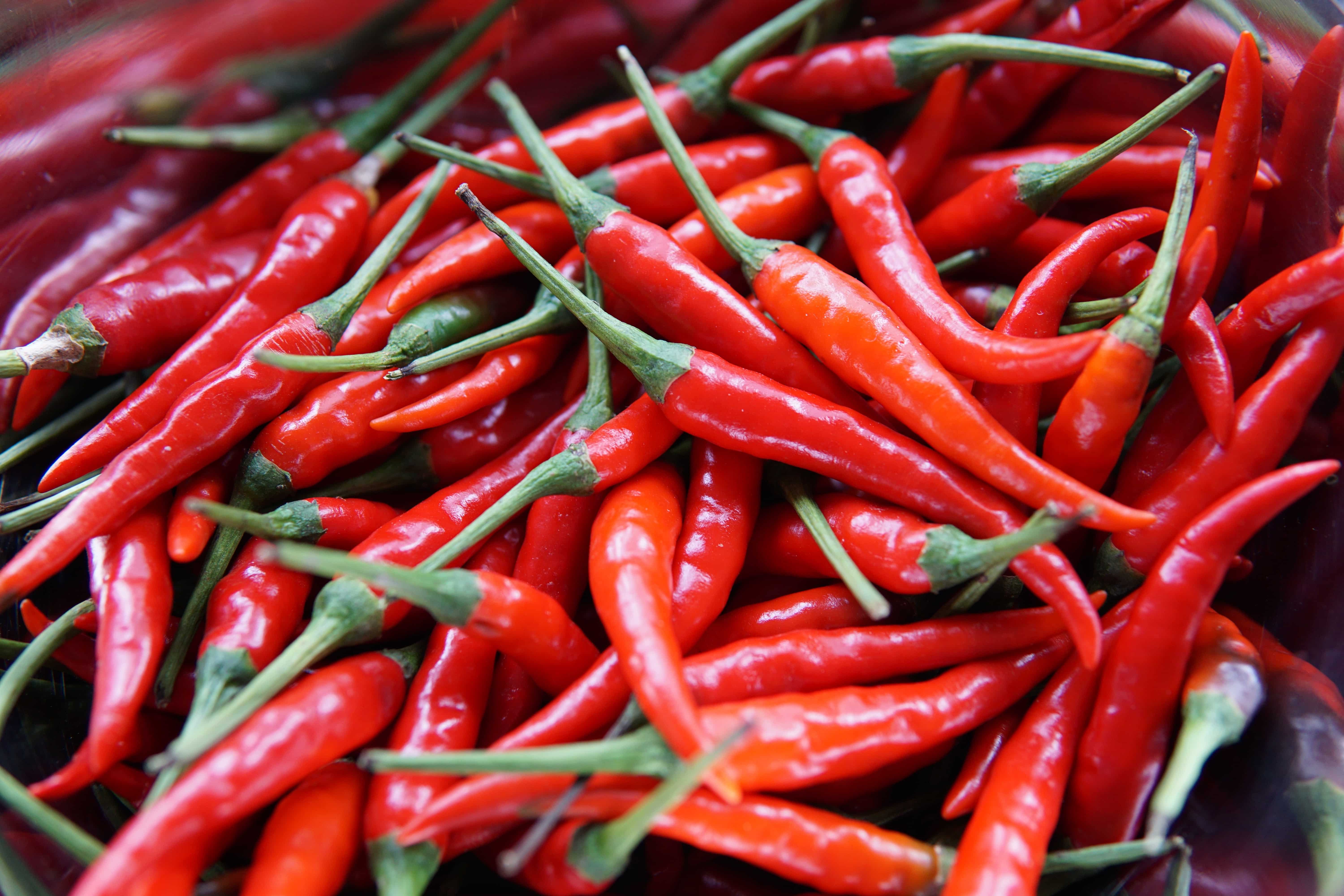 Study Reveals Impact of Prolonged Heat Stress on Hot Pepper Crops in South Korea. Plant Science; AgriTech; Study