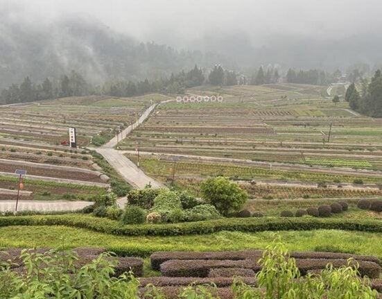 The Asian Development Bank (ADB) approved a USD 140.89M loan to promote low-carbon and climate-smart agriculture in Sichuan, China.