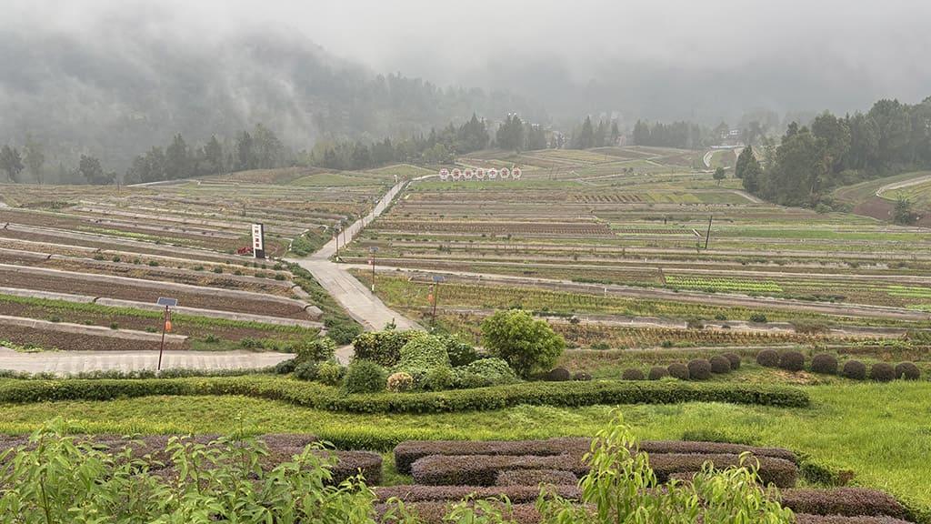 The Asian Development Bank (ADB) approved a USD 140.89M loan to promote low-carbon and climate-smart agriculture in Sichuan, China.