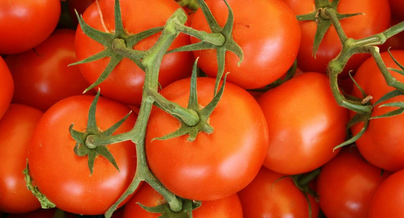 The U.S. Department of Commerce has officially terminated the 2019 Tomato Suspension Agreement reinstating tariffs on Mexican imports.