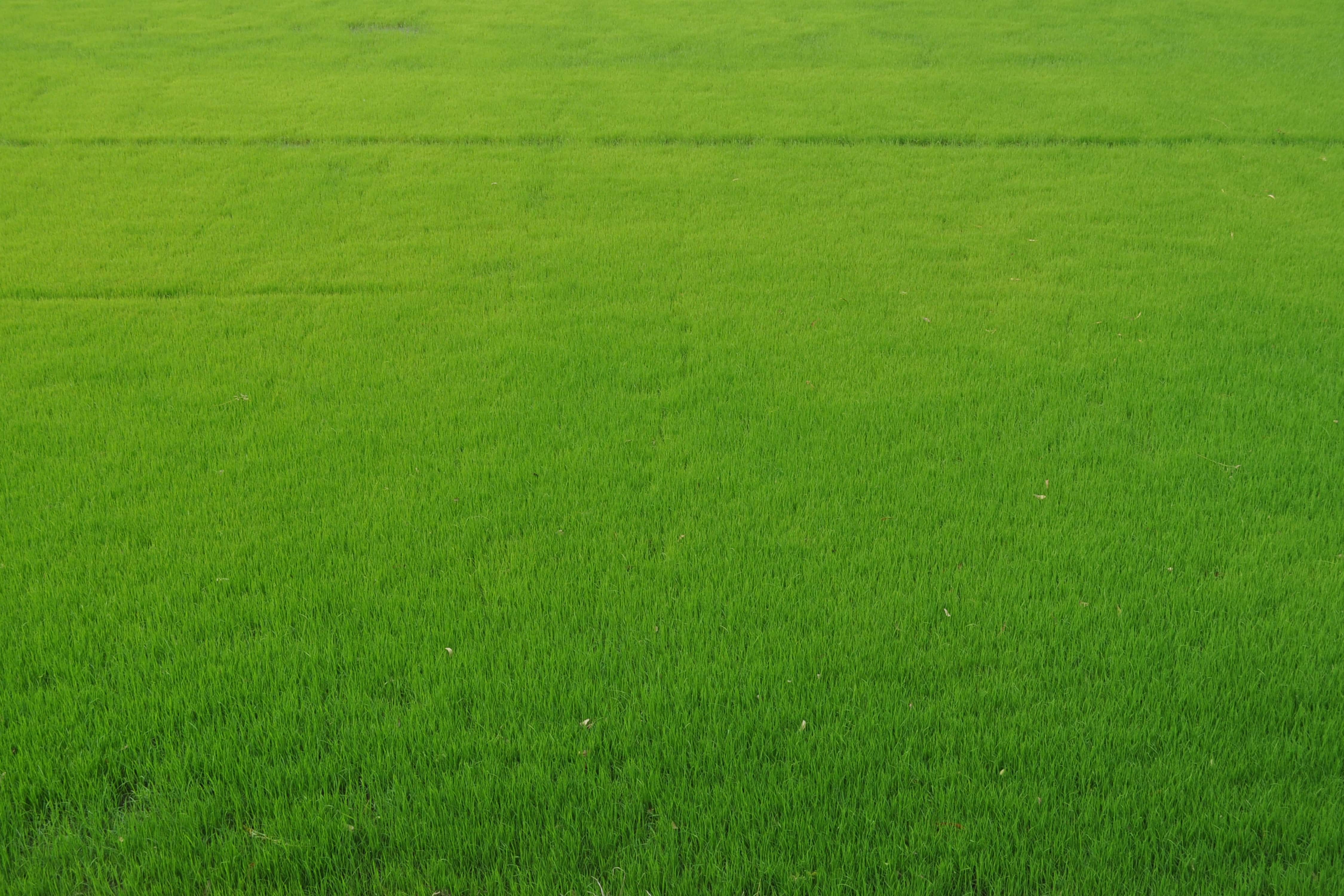 ADB and Bangladesh Ink $106M Agri-Water Deal. AgTech