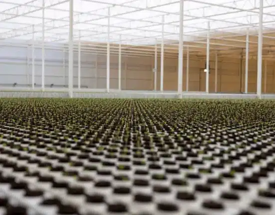 Saudi Arabia is making substantial strides in Agricultural Technology (AgTech), backed by robust government initiatives.