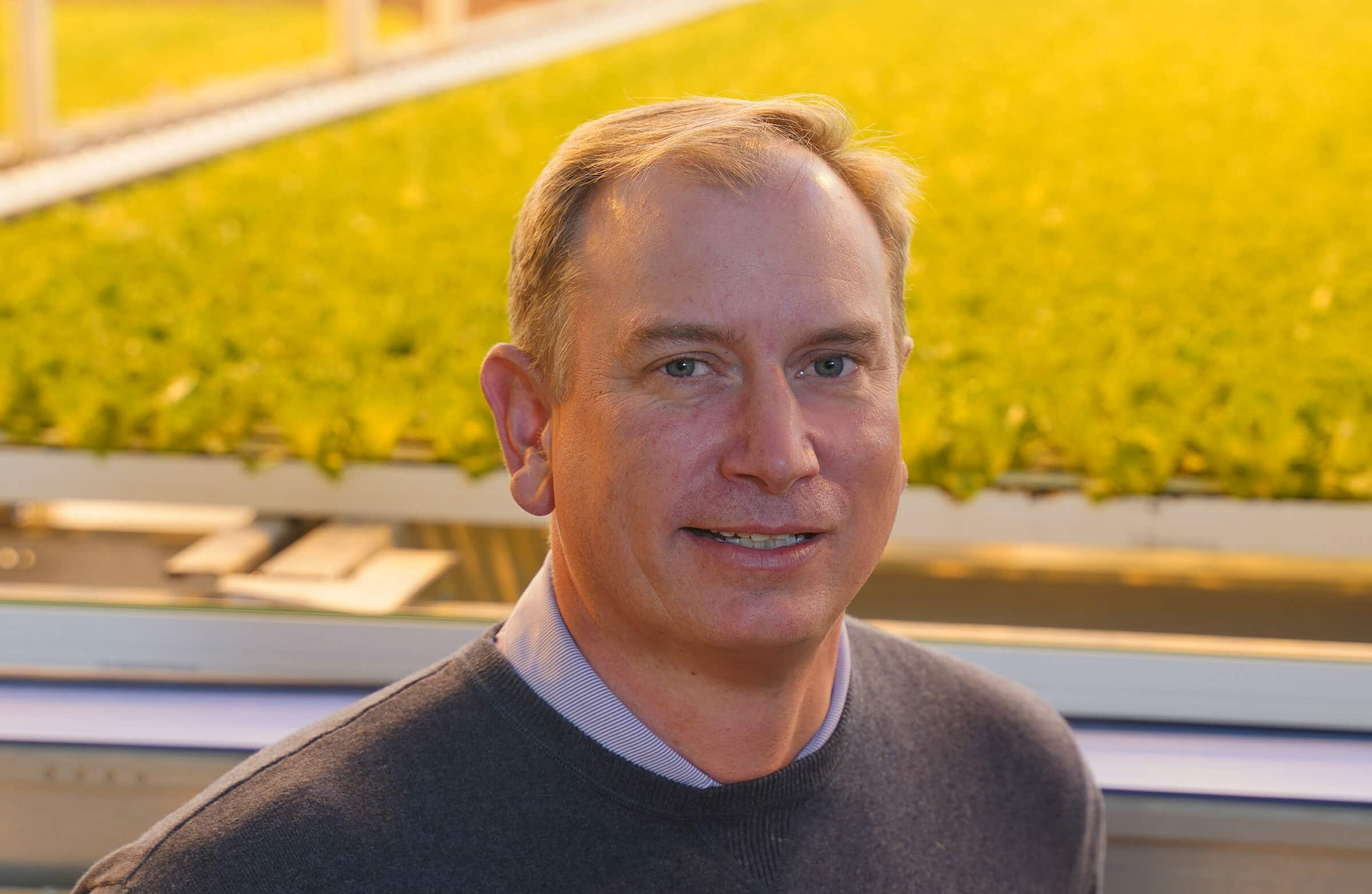 Carl Gupton was appointed as CEO of Greenswell Growers, a mid-Atlantic provider of sustainable agricultural solutions.