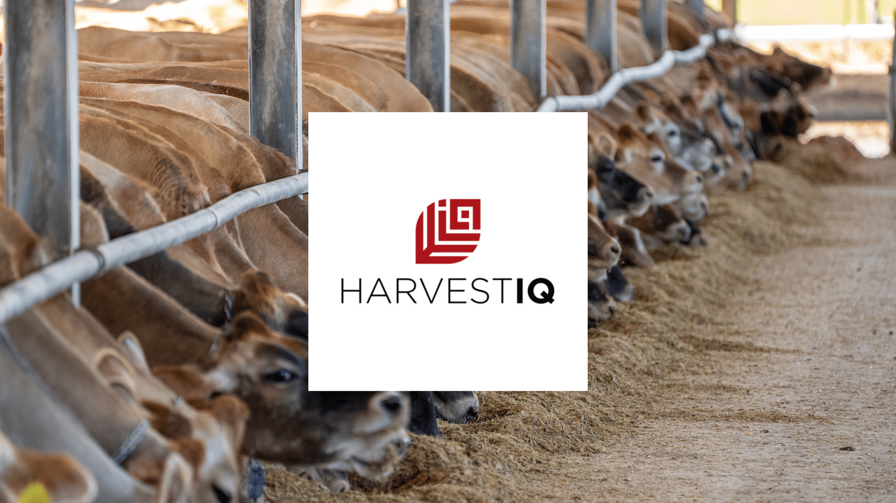 HarvestIQ, originally known as Farmers Risk announced its expansion into livestock markets, complemented by a complete rebranding effort.